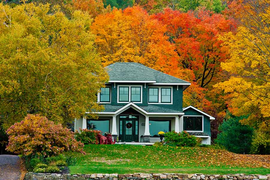 House with fall trees