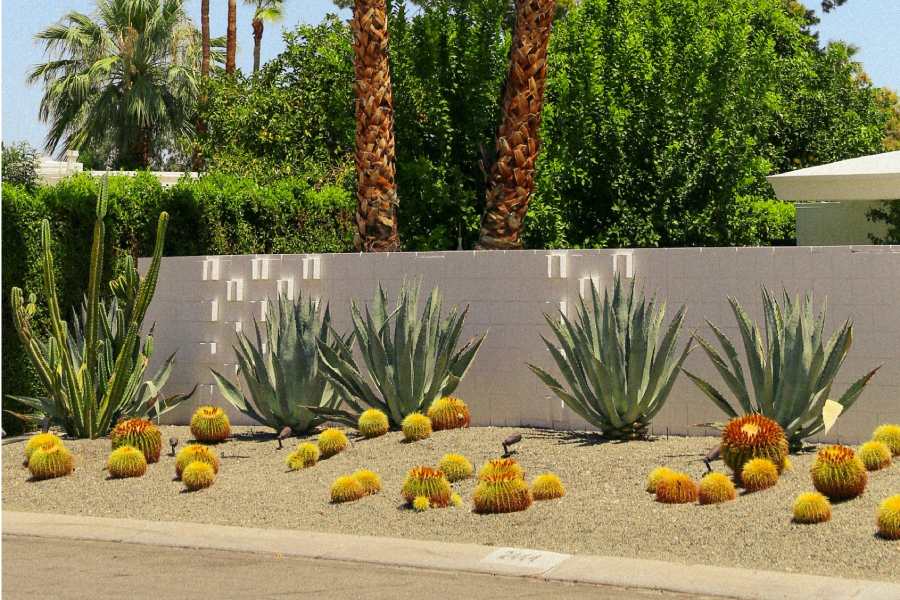 A lawn that has been xeriscaped with drought resistant plants in Caldwell County real estate